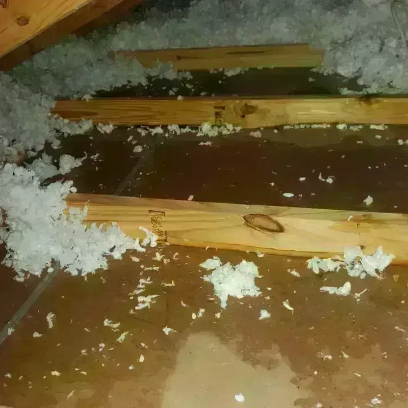 Attic Water Damage in New Stanton, PA